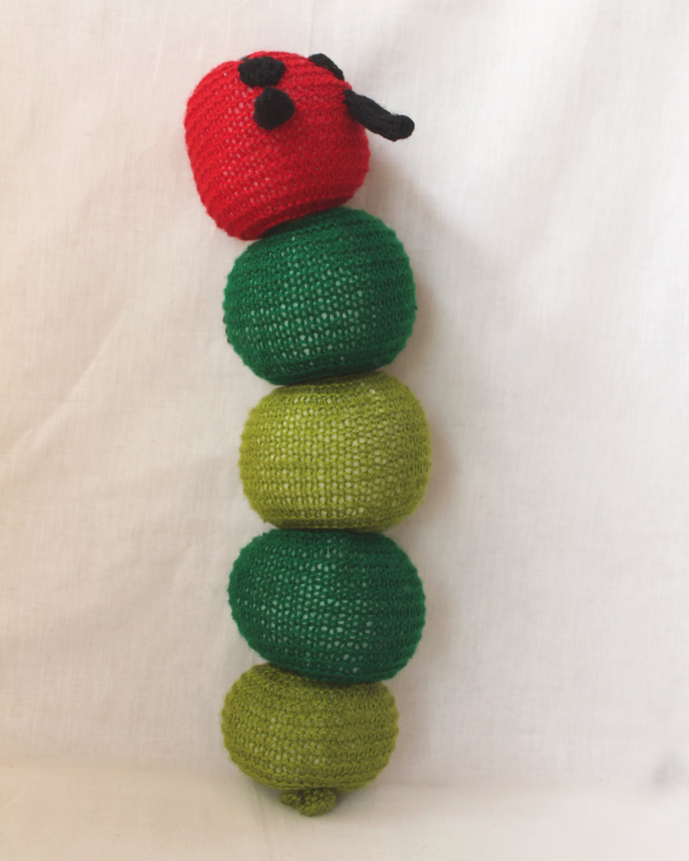 Notty the Caterpillar